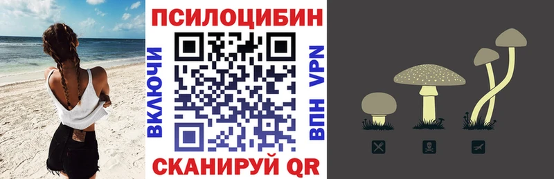 Псилоцибиновые грибы мицелий  Купить где  Сусуман 
